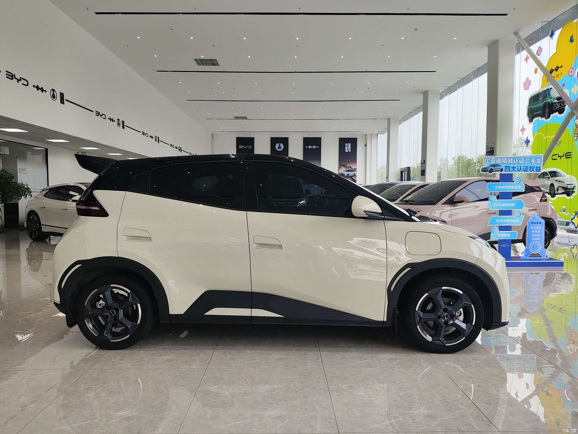 BYD Seagull, 2023 4