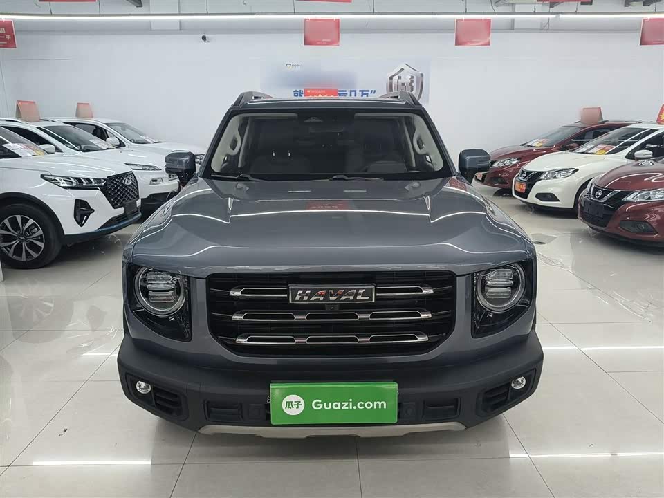 Haval Big dog