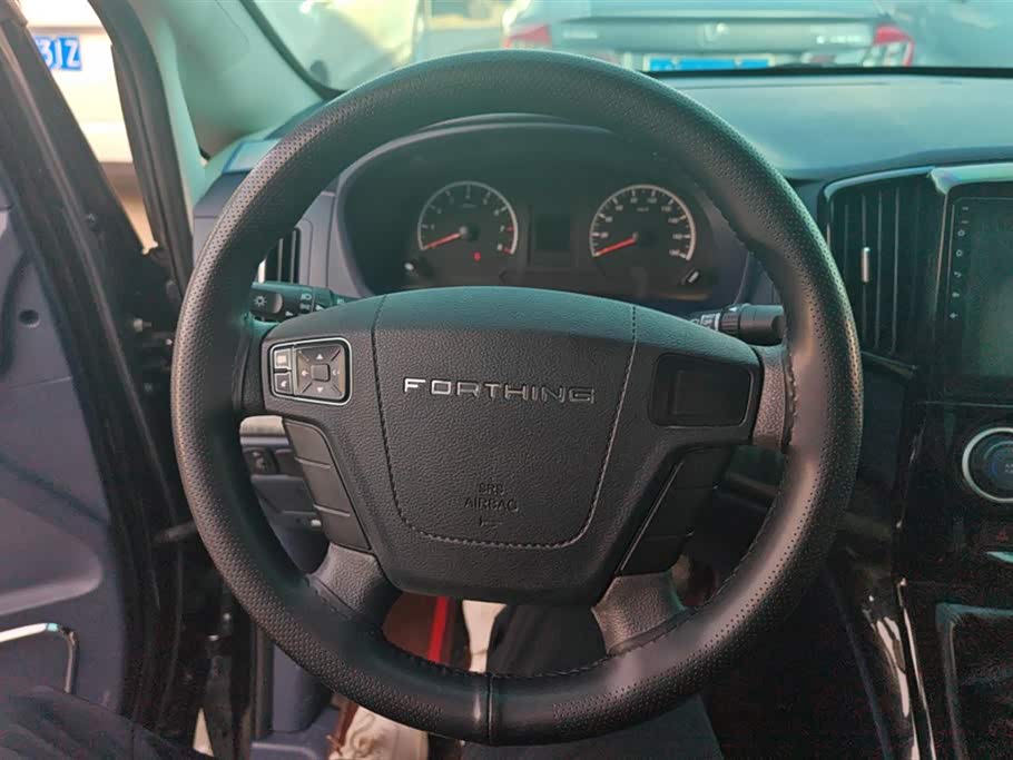 Forthing Lingzhi PLUS