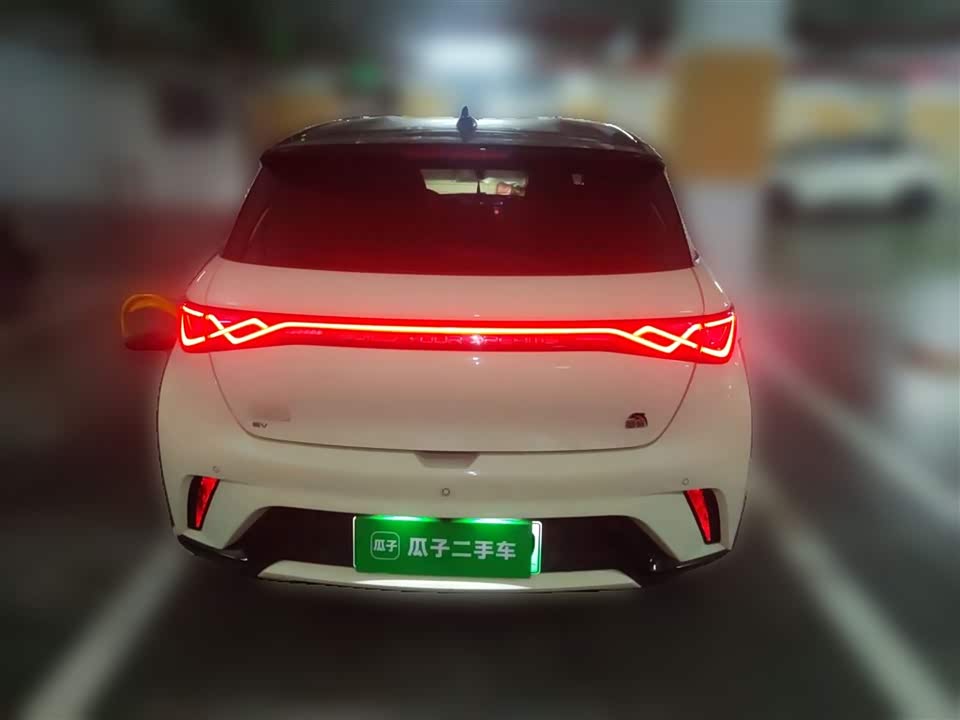 BYD dolphin