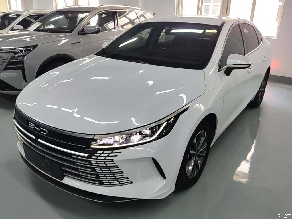 BYD Destroyer 05, 2023 1