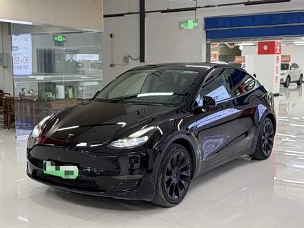 ˹ Model Y 2021 ׼