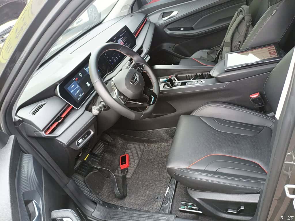 Geely Binray, 2024 8