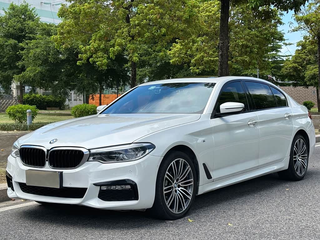 BMW 5 Series 5 2018 530Li Premium M Sport