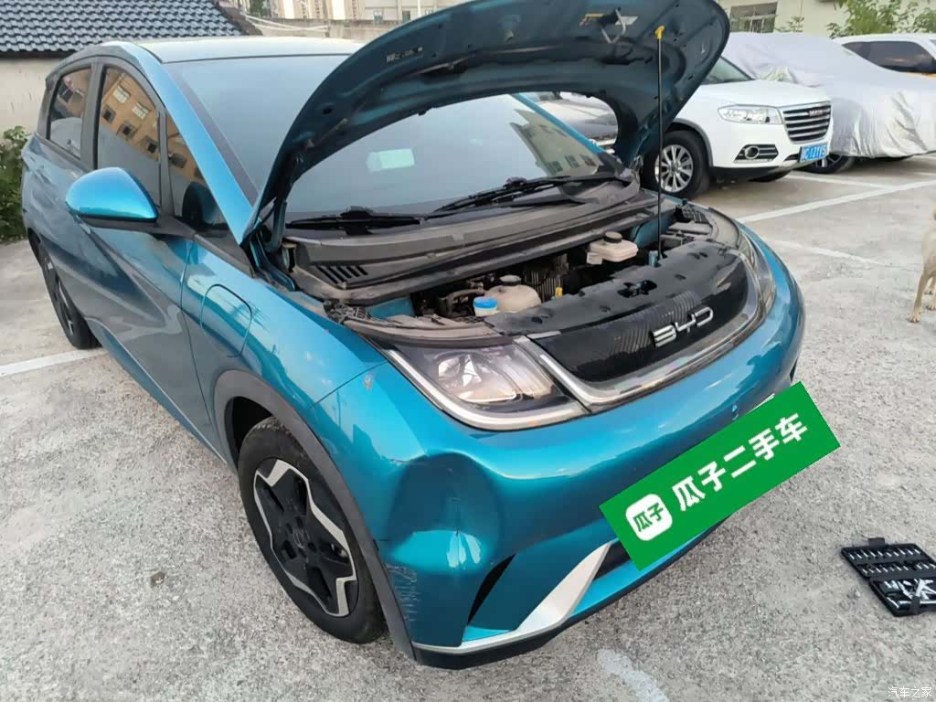 BYD Dolphin, 2022 23