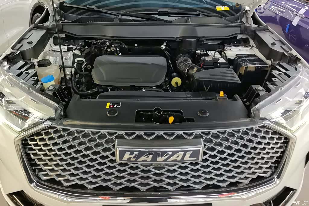 Haval H6, 2024 10