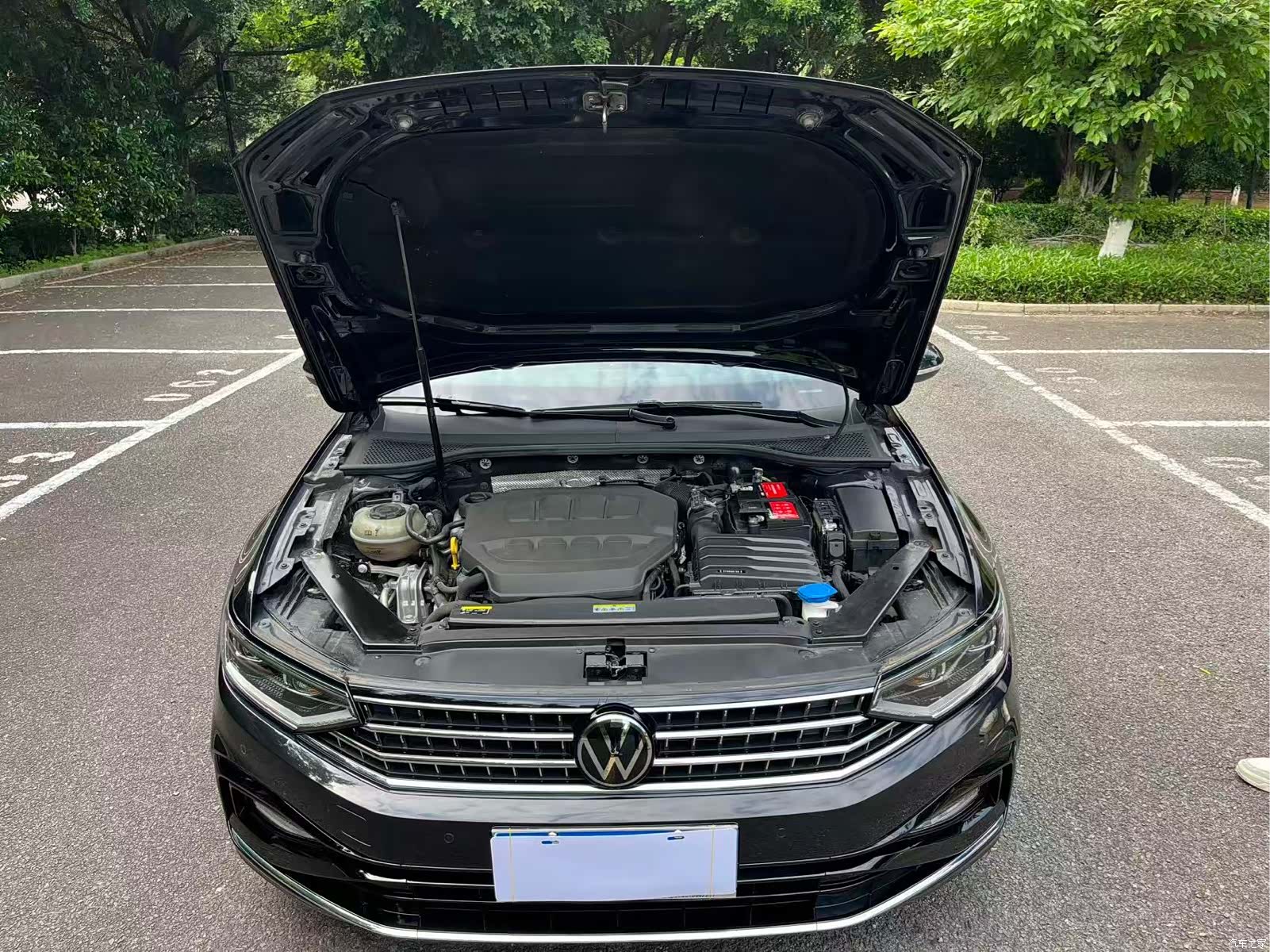 Volkswagen Magotan, 2024 11