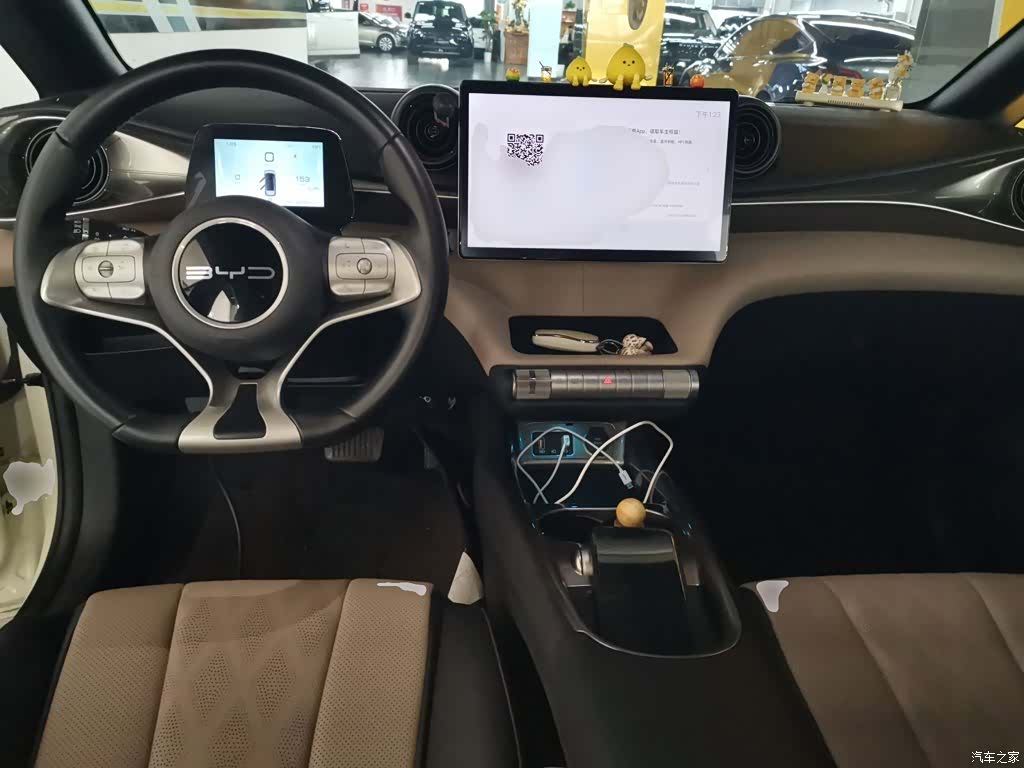 BYD Dolphin, 2023 6