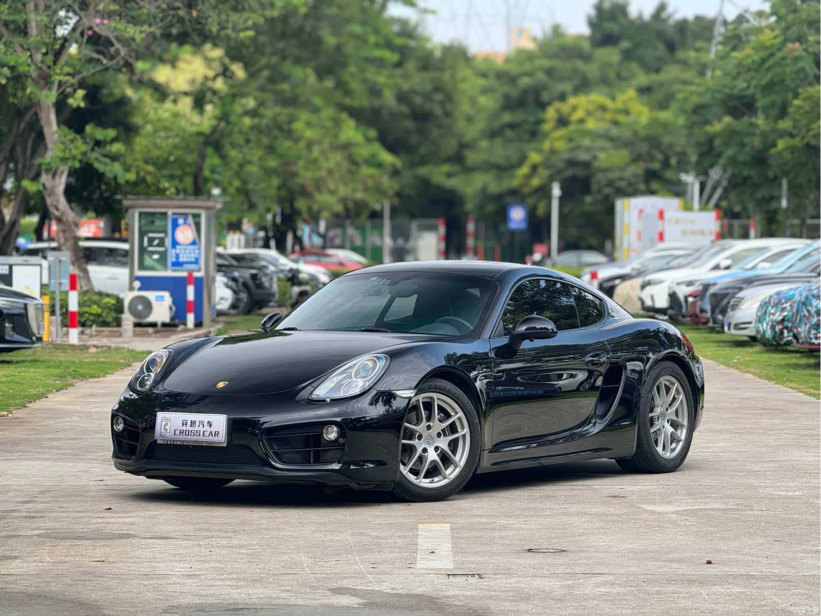 Porsche Cayman