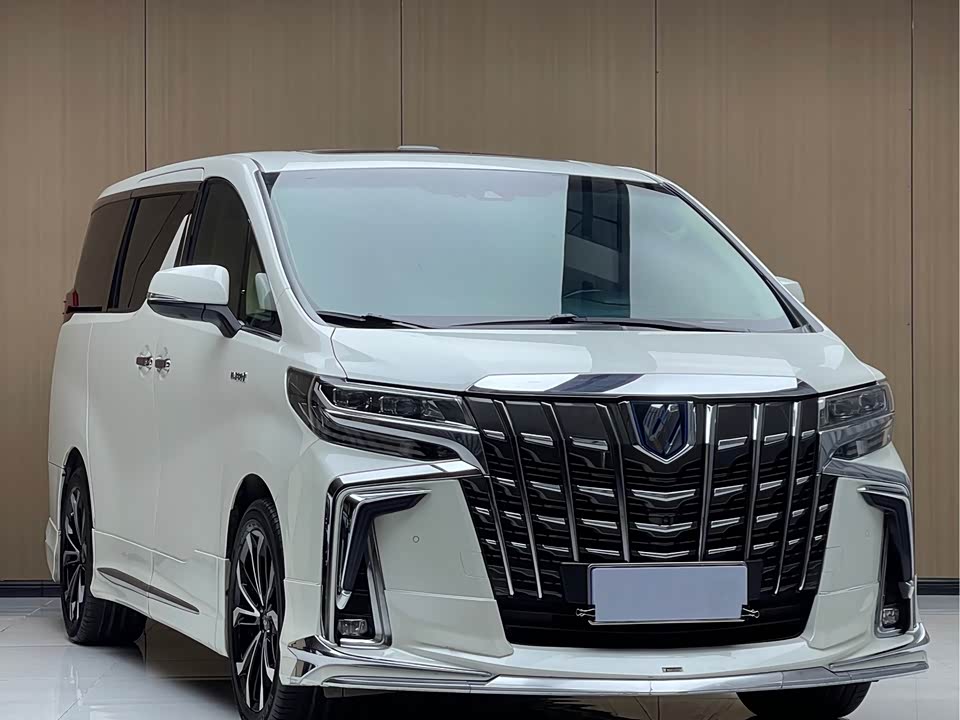 Toyota Elfa