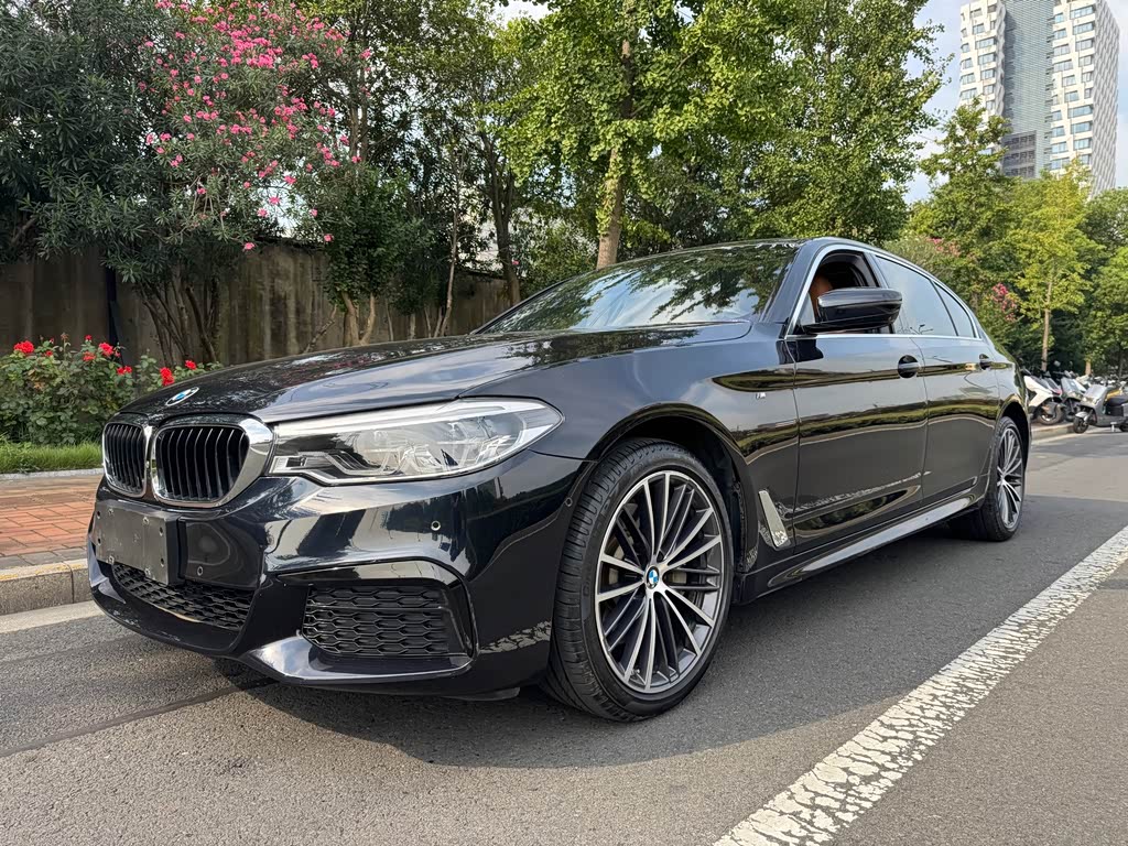 BMW 5 Series 5 2020 530Li Premium M Sport