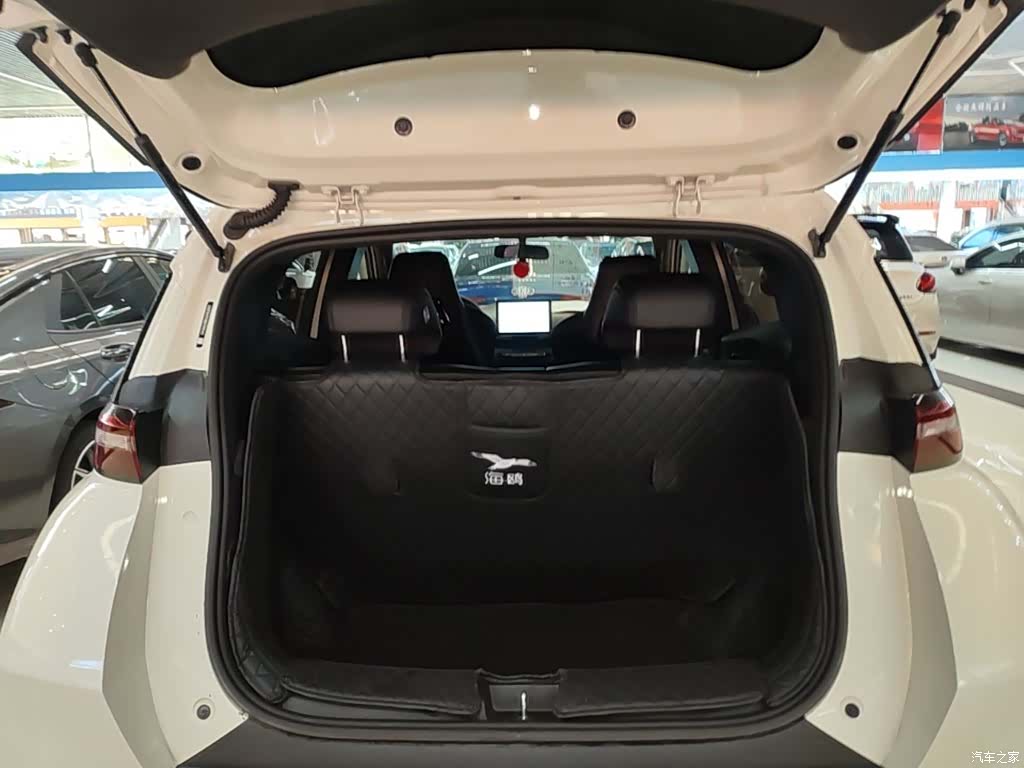 BYD Seagull, 2024 19