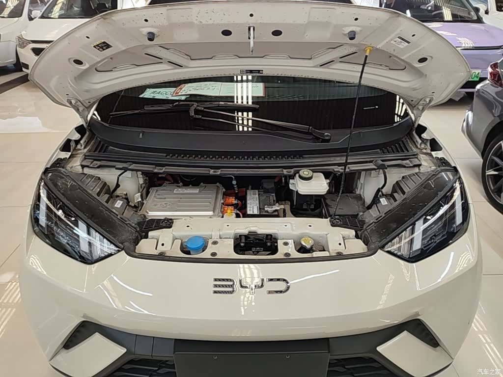 BYD Seagull, 2024 20