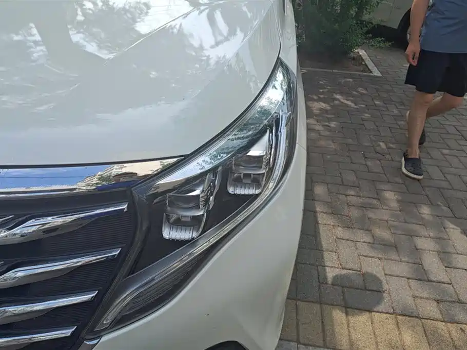 Trumpchi Trumpchi M8