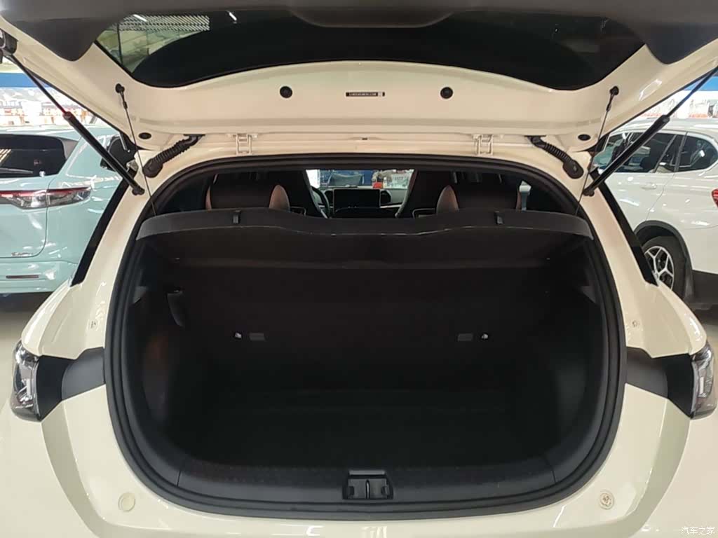 BYD Dolphin, 2024 15