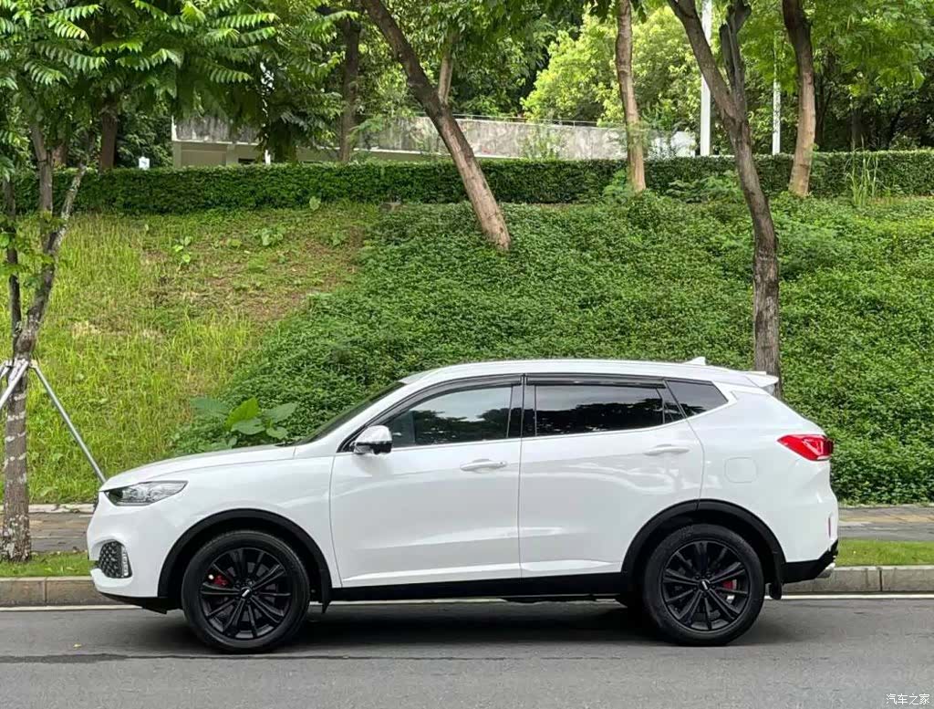 WEY VV6, 2019 3