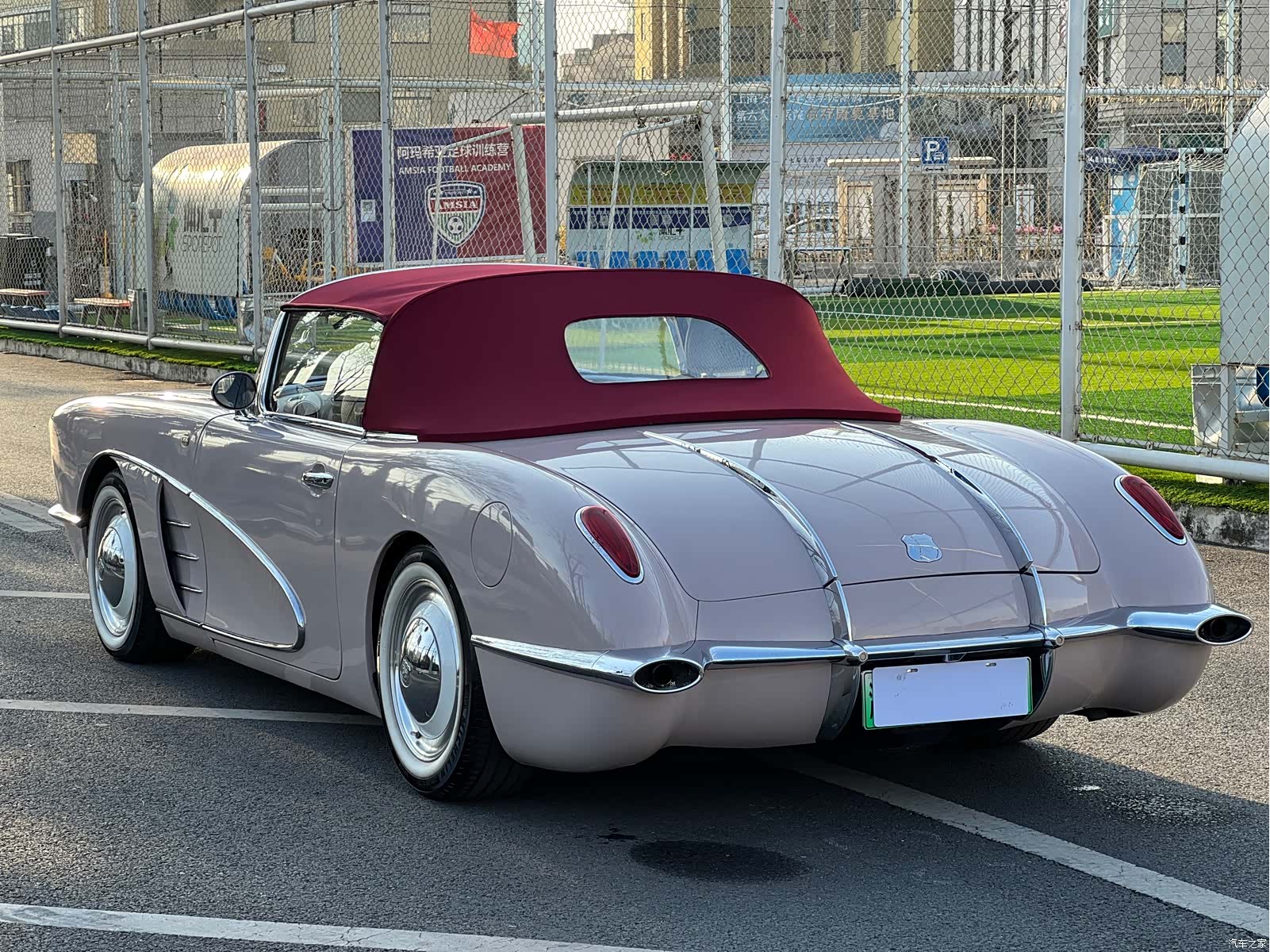SS DOLPHIN, 2023 4