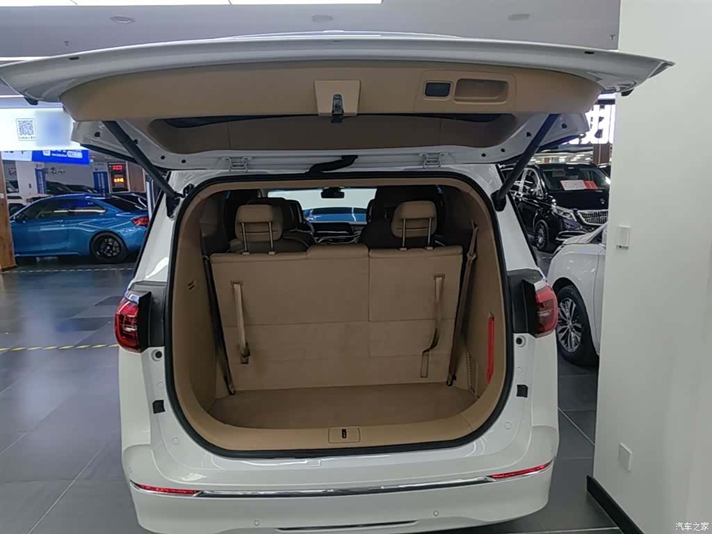 Buick GL8, 2021 19