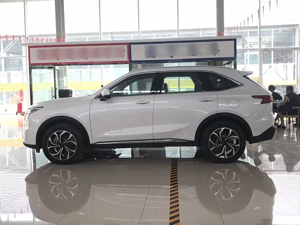 Haval Xiaolong MAX Haval Xiaolong MAX