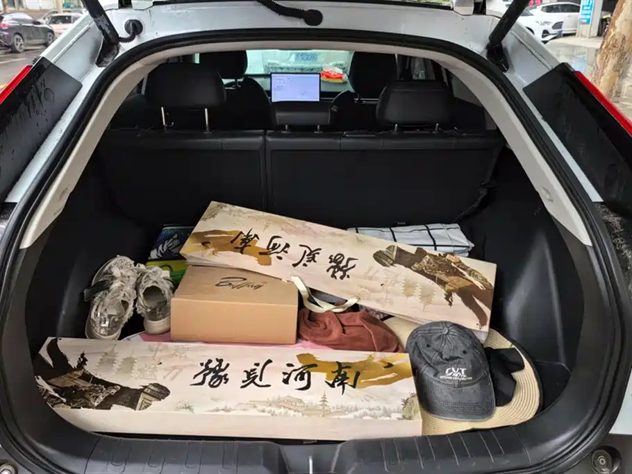 Trumpchi Shadow cool