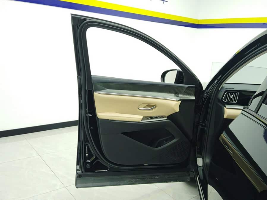 BYD Song Pro New Energy 2025, фото 7