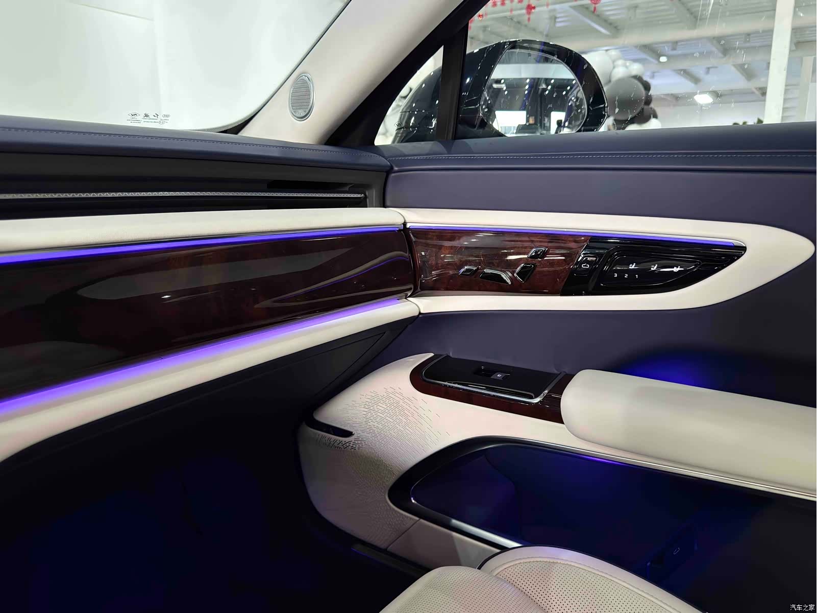 Hongqi Guoya, 2024 17