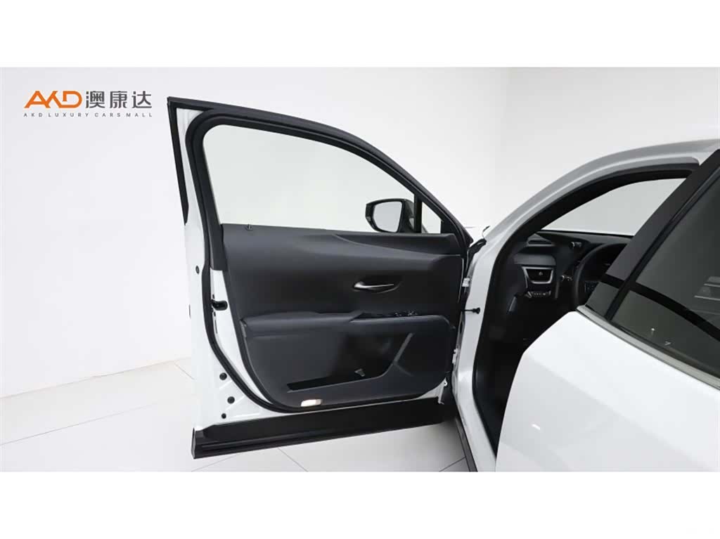 Lexus UX, 2019 10
