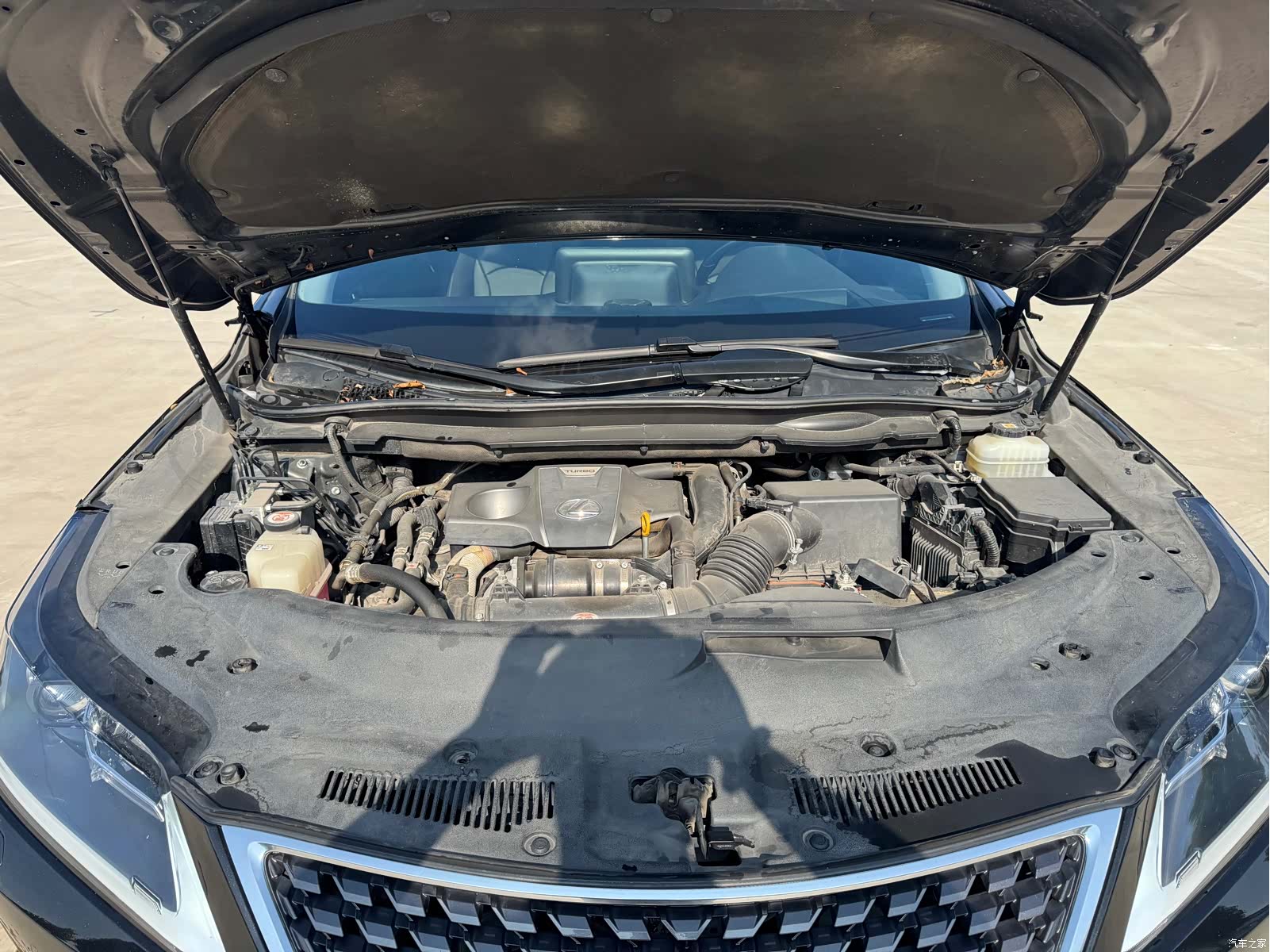 Lexus RX, 2021 19