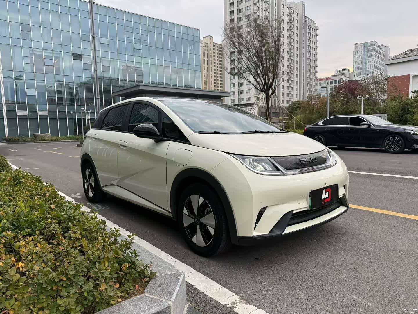 BYD Dolphin, 2023 3