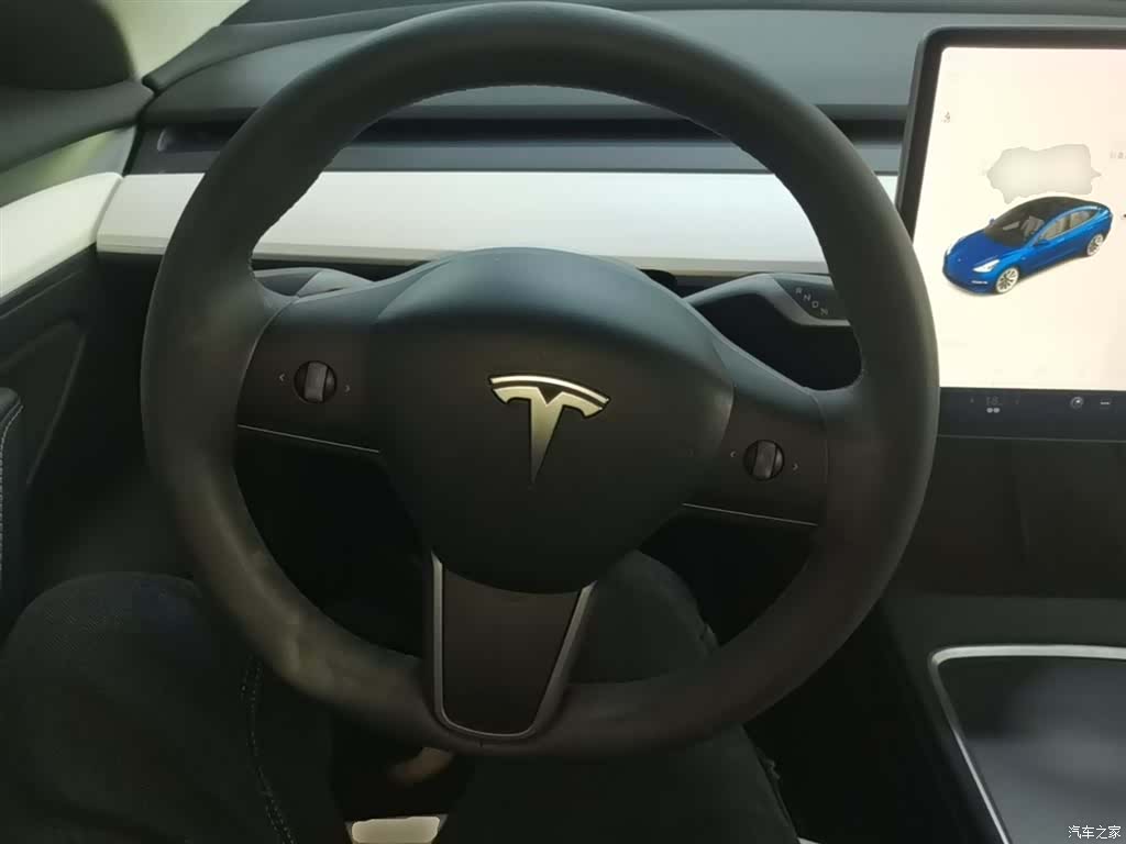 Tesla Model 3, 2021 11