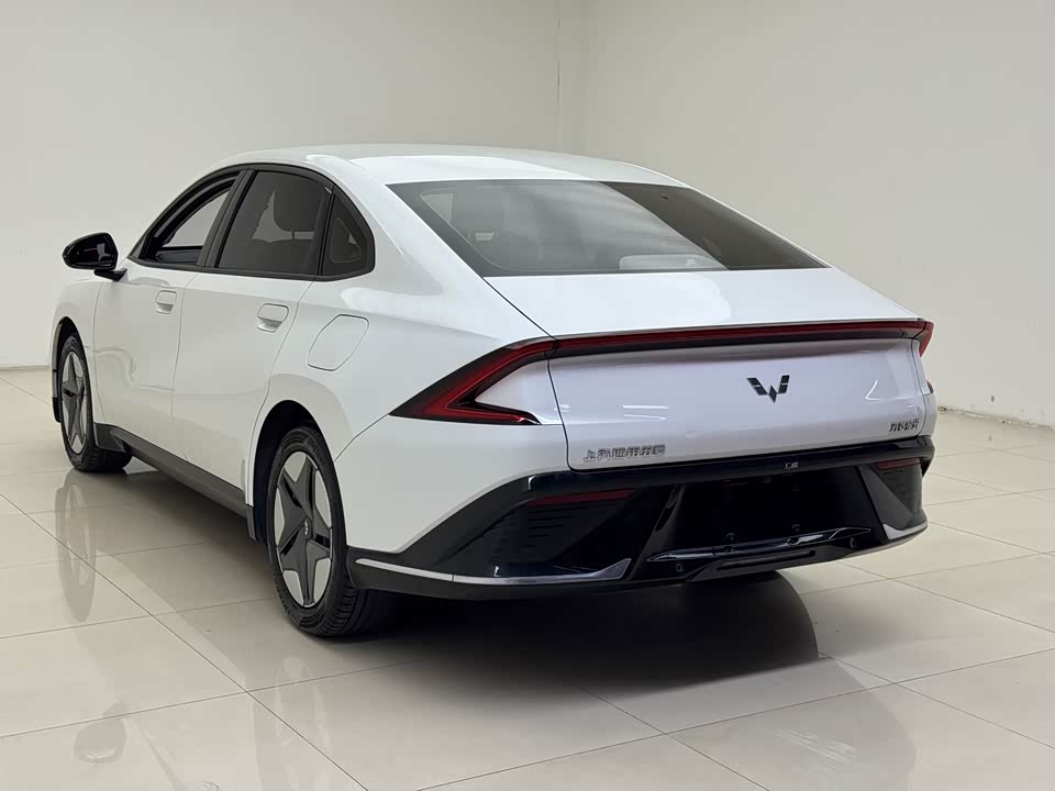 Wuling Wuling Starlight