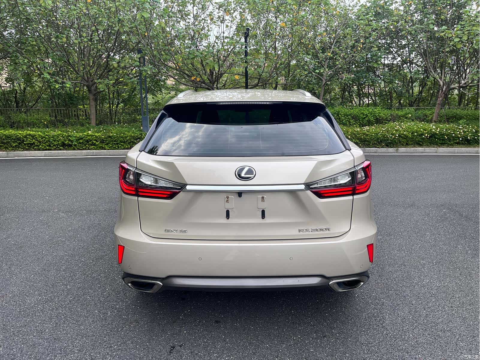 Lexus RX, 2017 все фото
