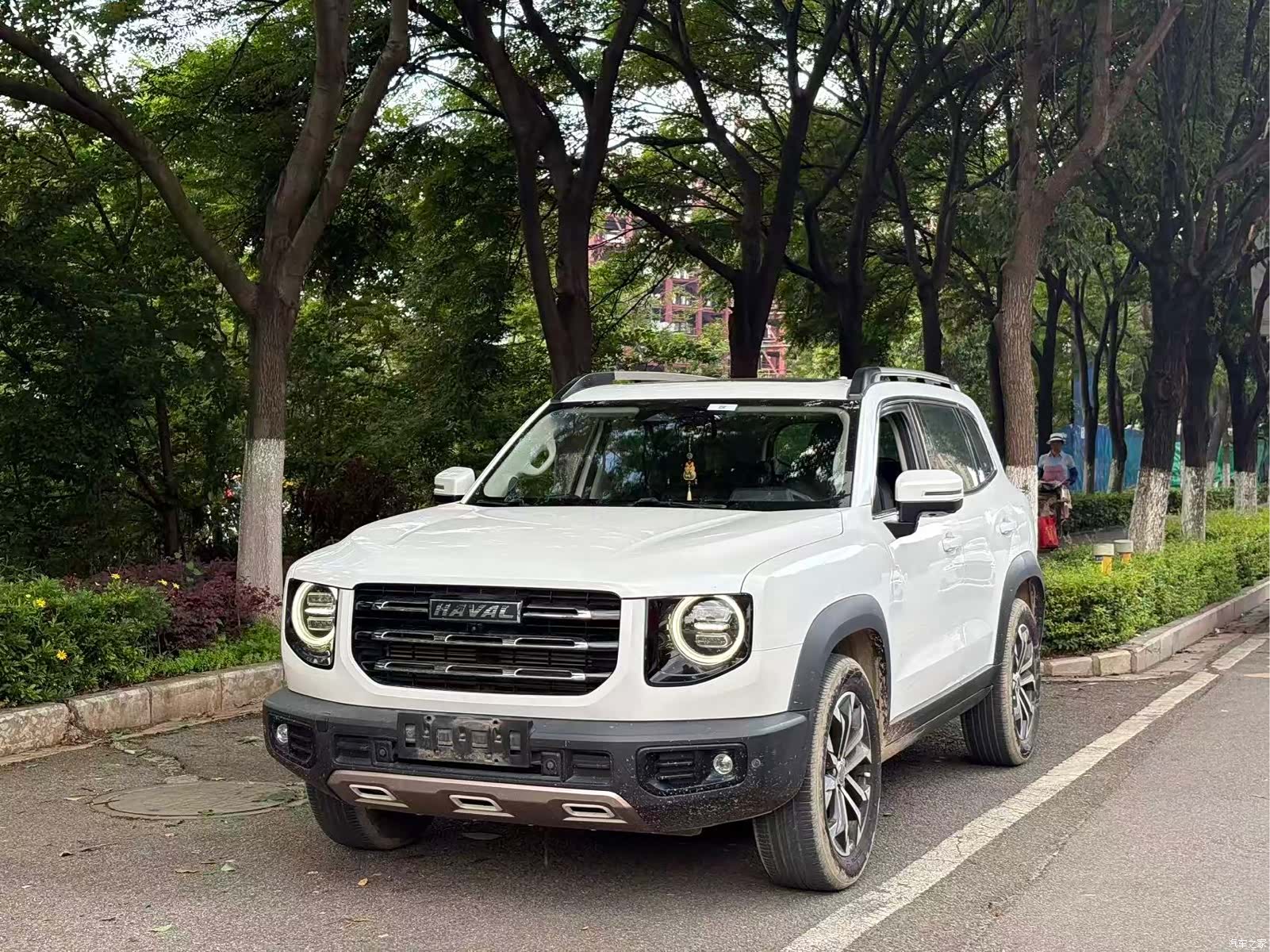 Haval Big Dog