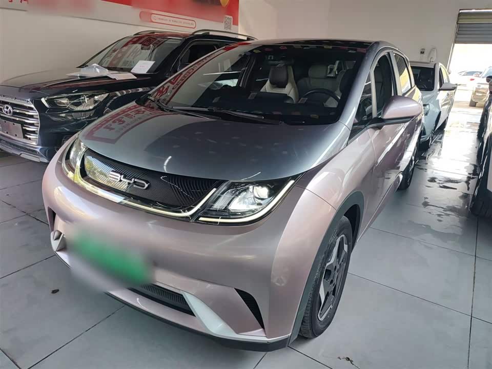 BYD dolphin
