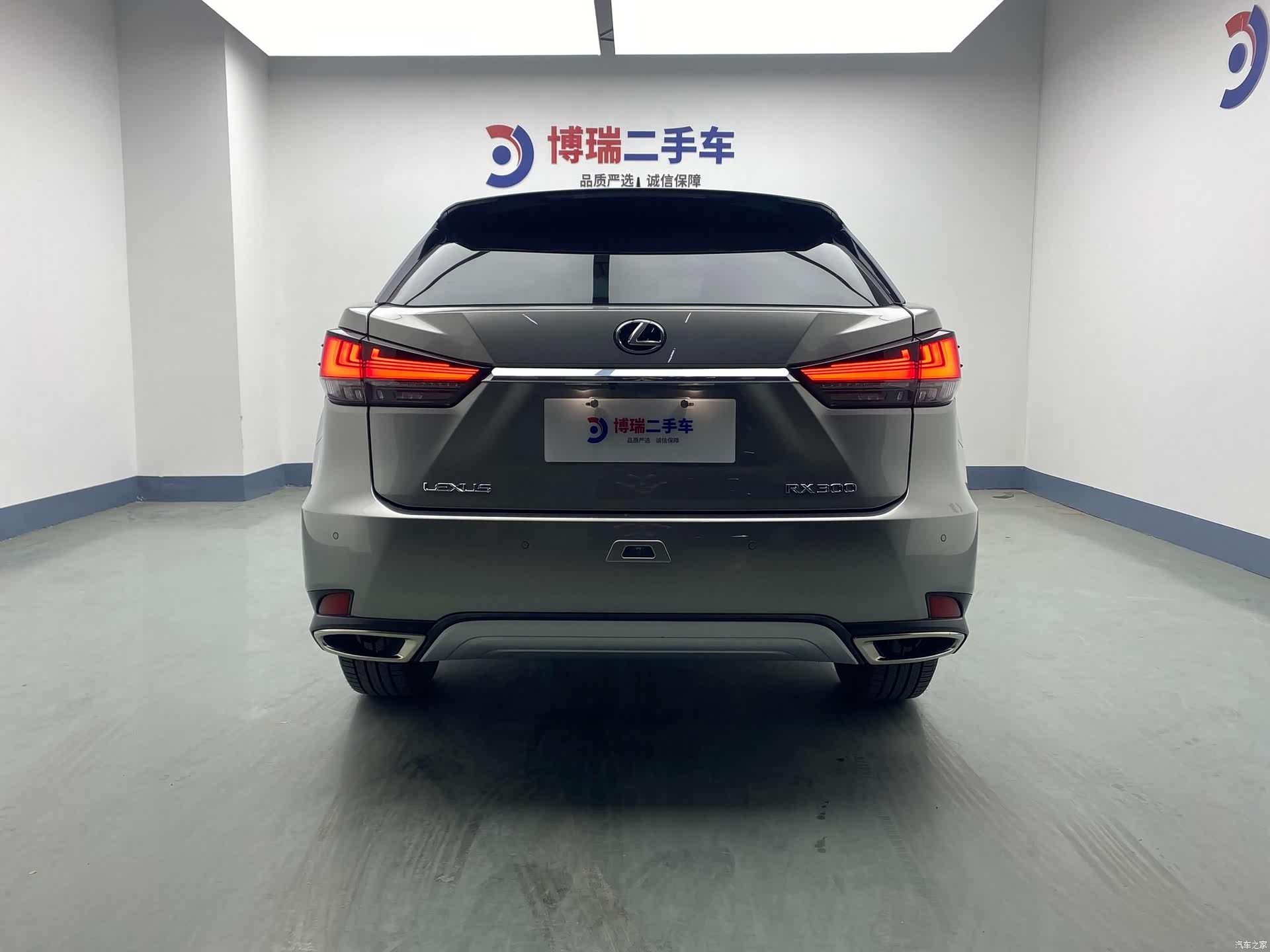 Lexus RX, 2020 6