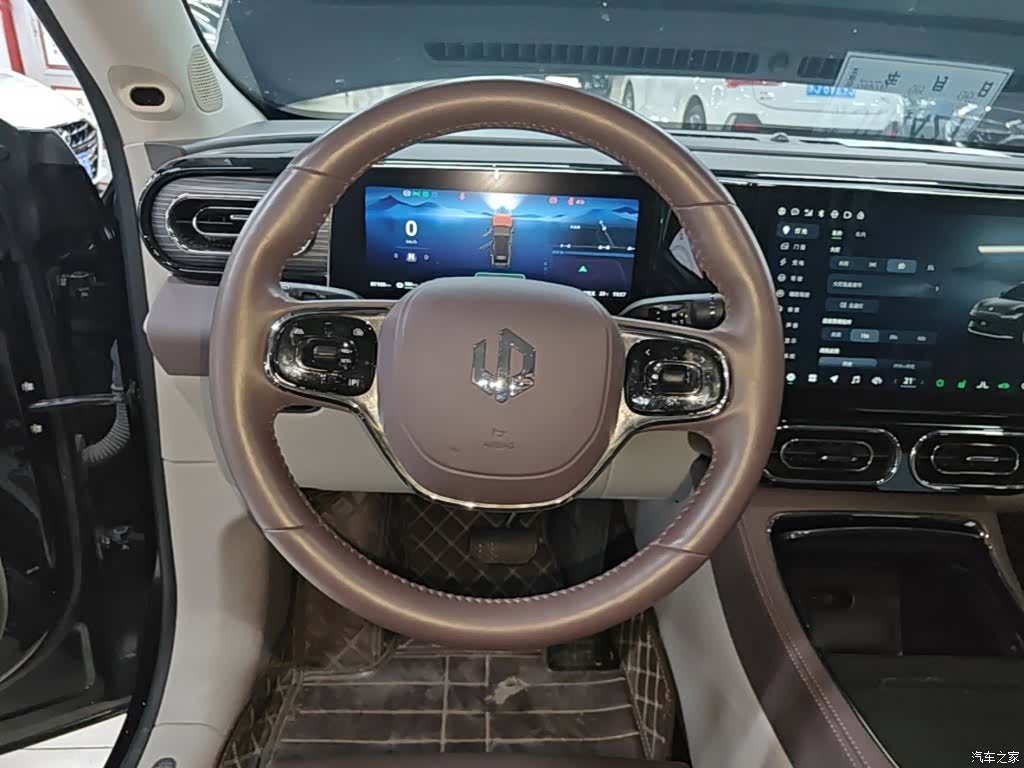 Leapmotor C11, 2023 11