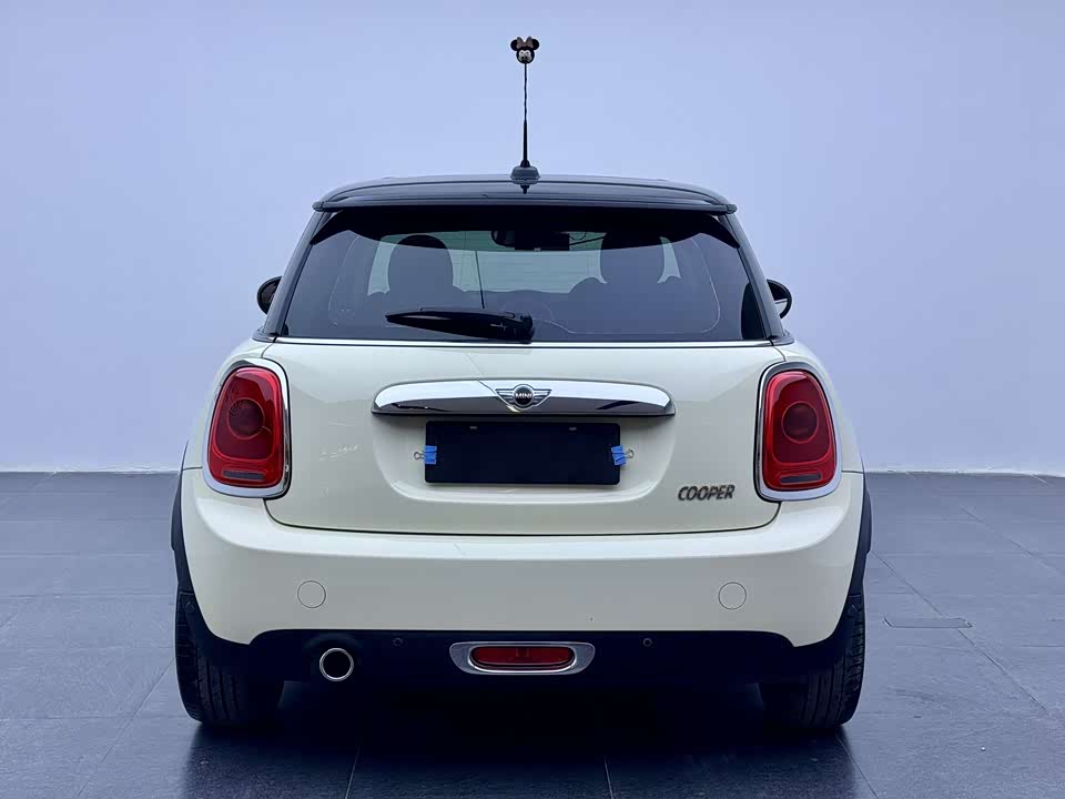MINI MINI