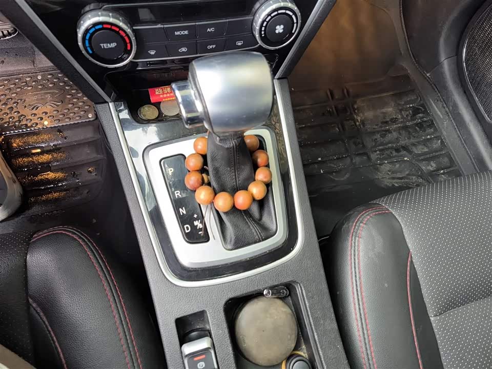 Leopaard Cheetah CS10