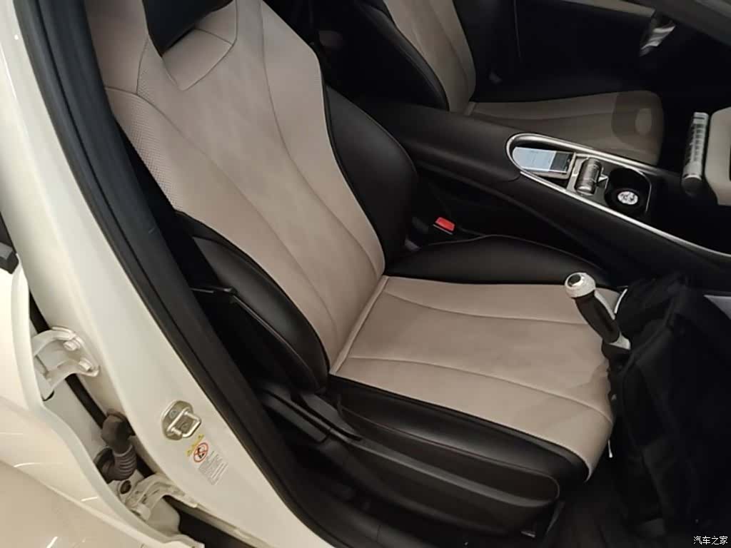 BYD Dolphin, 2024 25