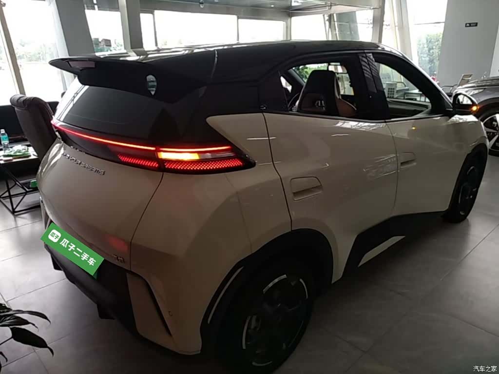 BYD Seagull, 2024 7