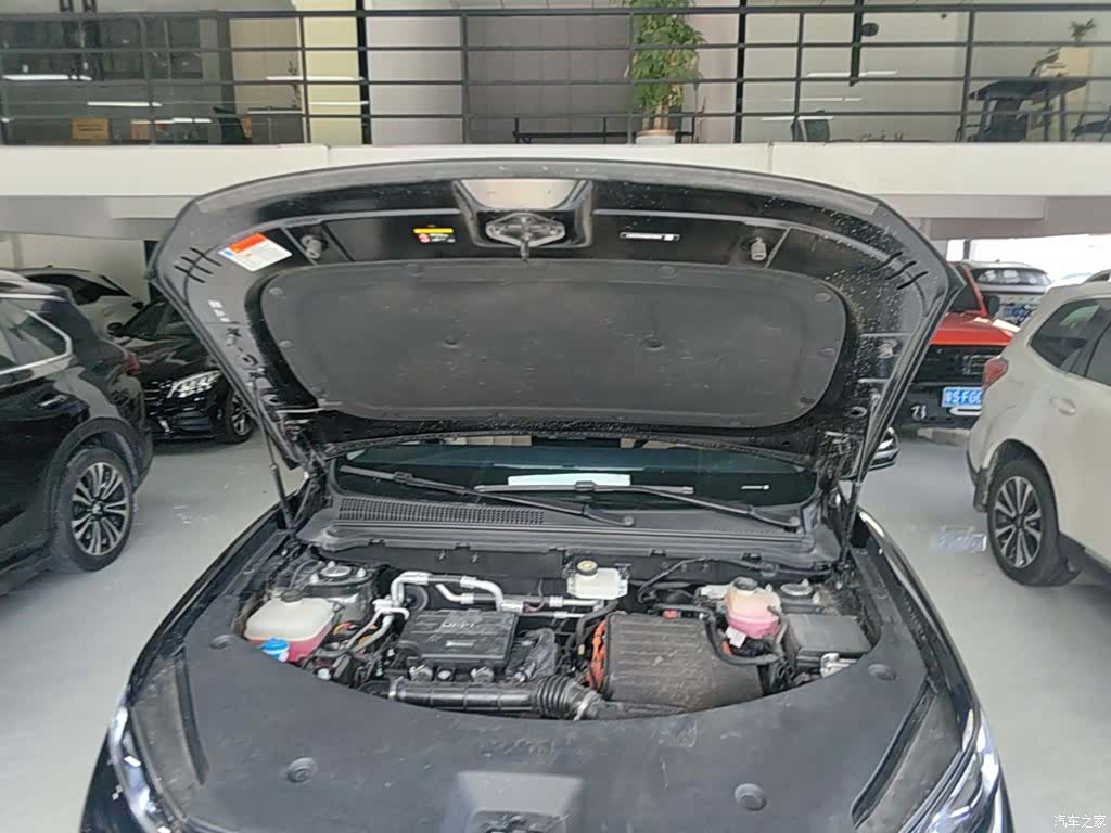 BYD Song, 2025 20