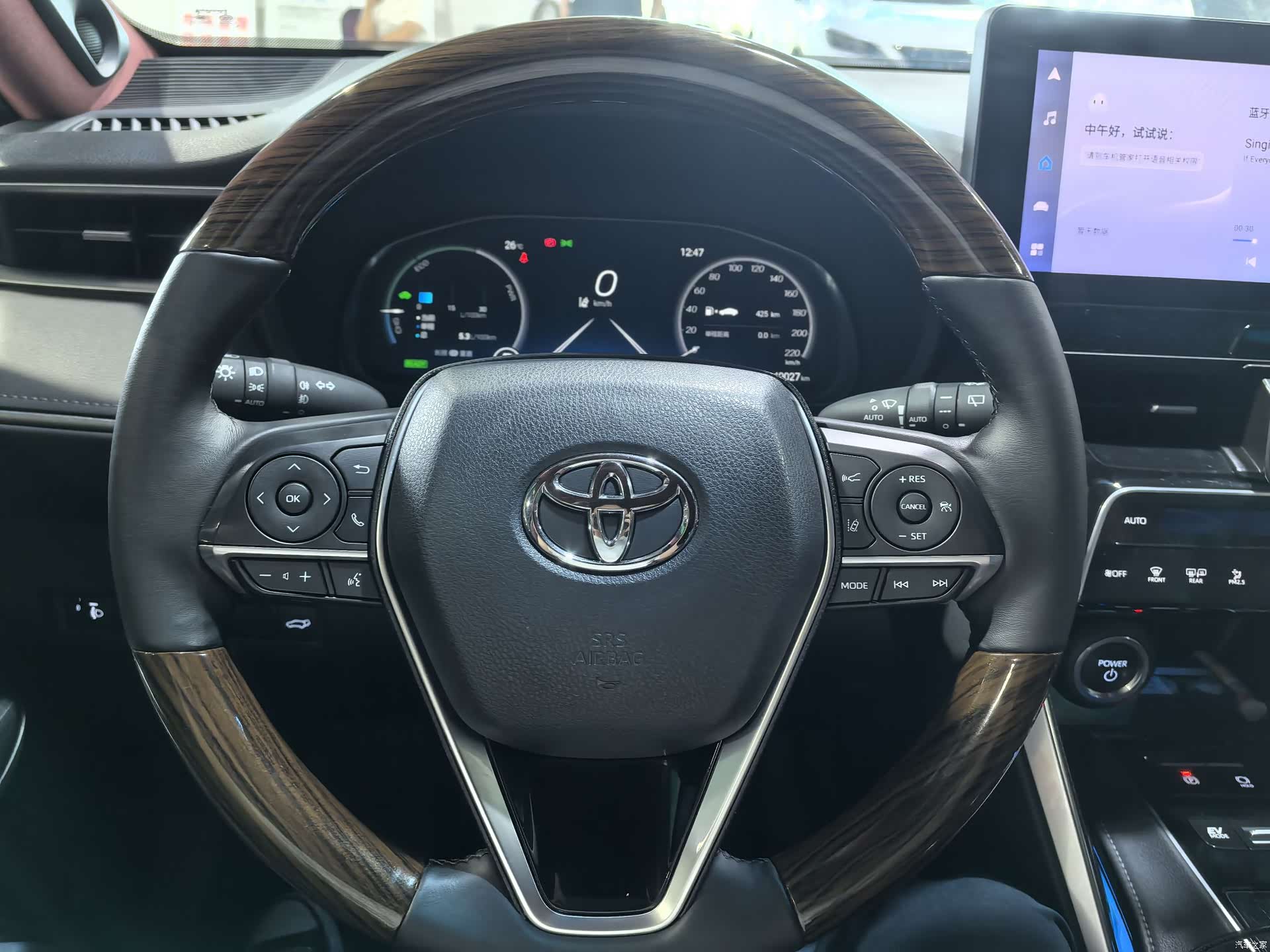 Toyota Venza, 2024 6