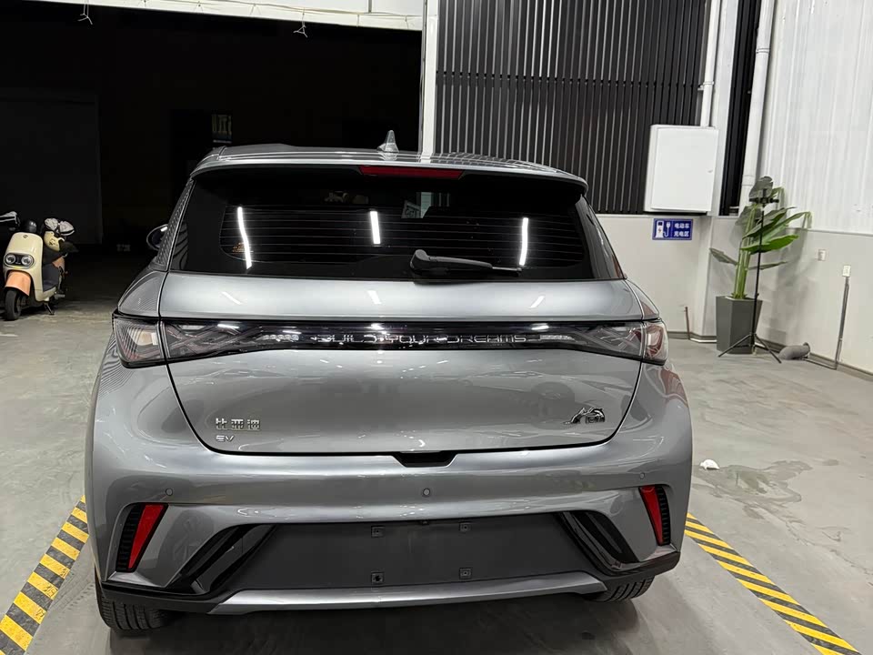 BYD dolphin