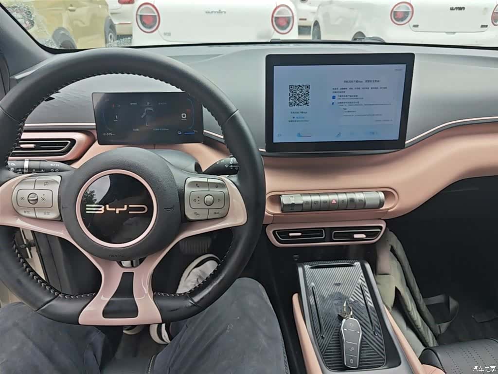 BYD Seagull, 2023 10