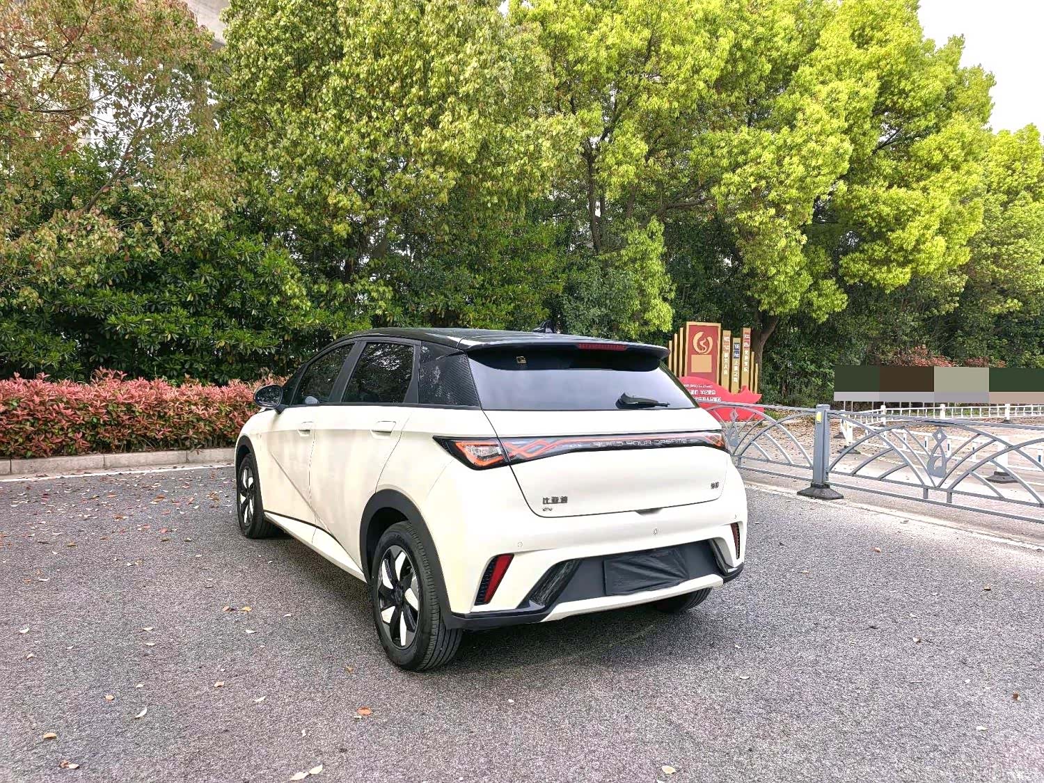 BYD Dolphin, 2024 9