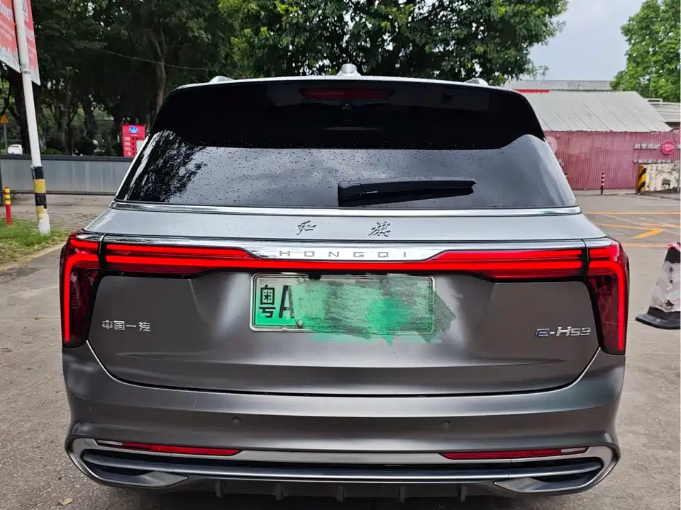 Hongqi E-HS9