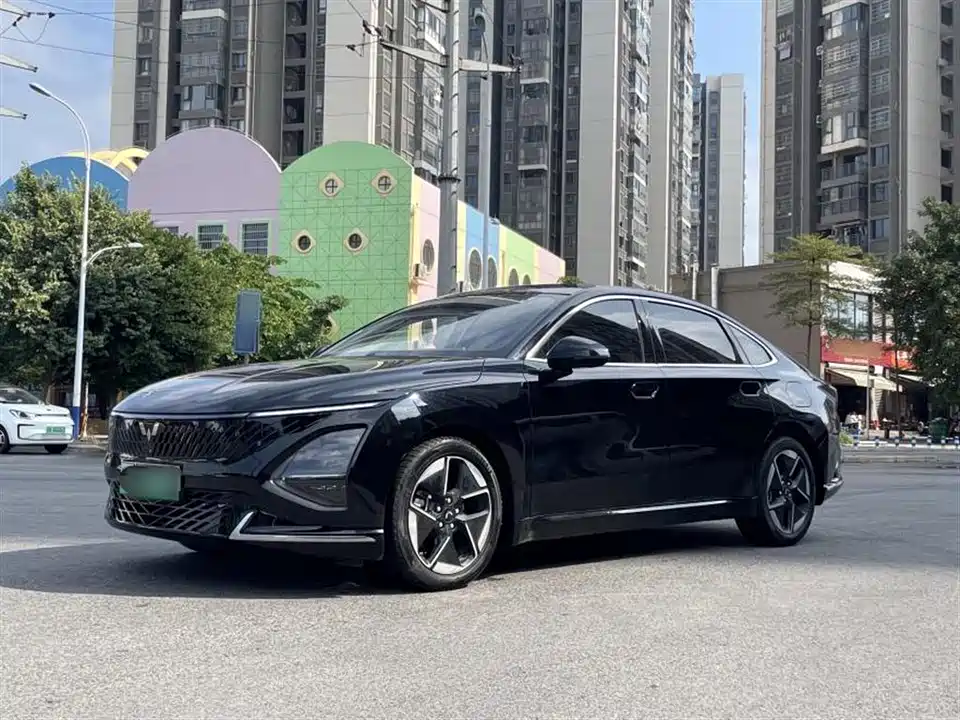 Wuling Wuling Starlight