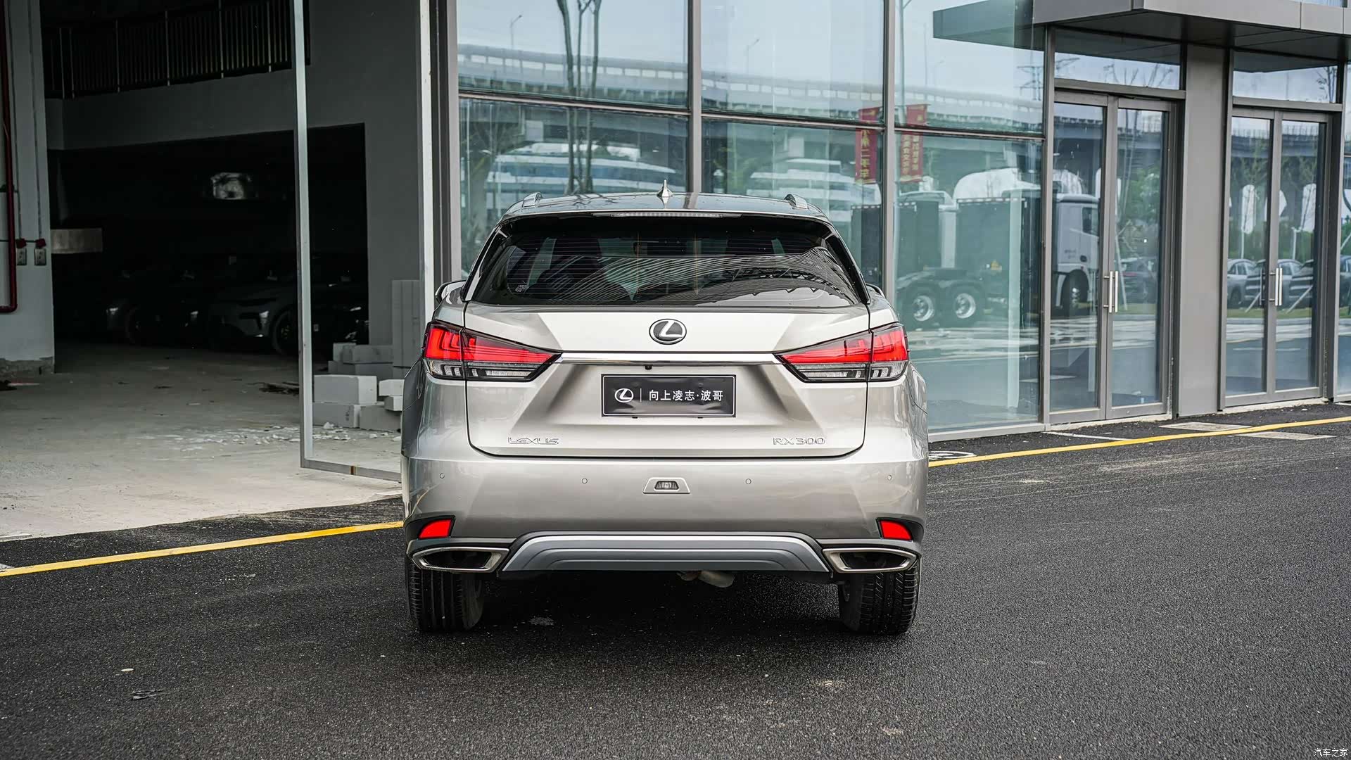 Lexus RX, 2021 все фото