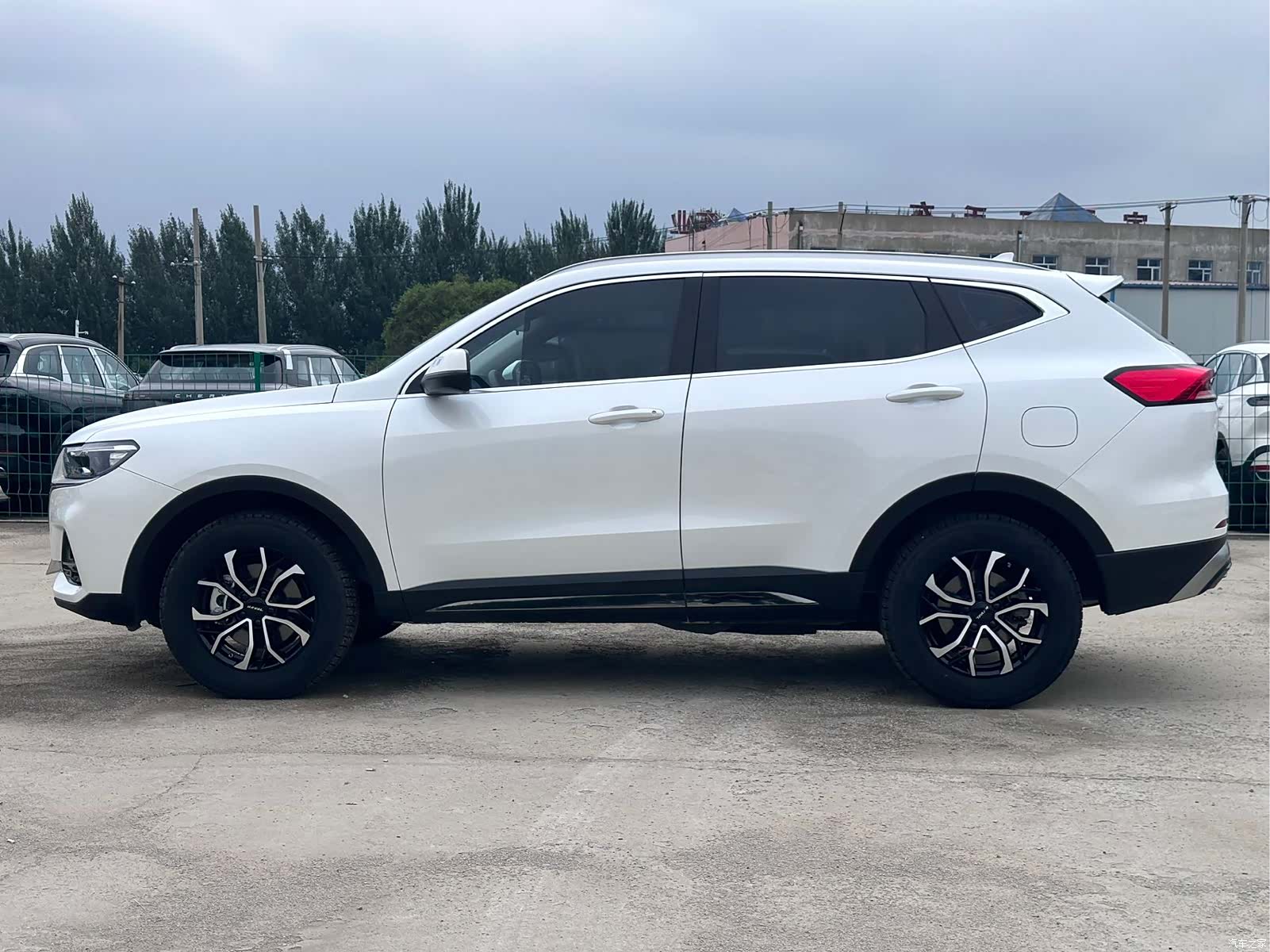 Haval H6, 2022 все фото