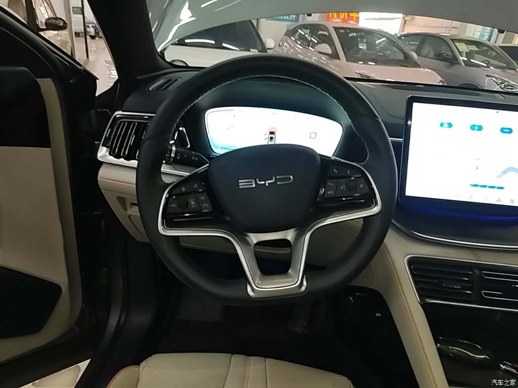 BYD Song, 2024 11